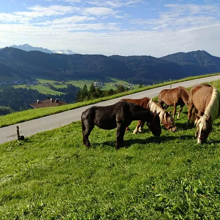 Brandterhof Brandenberg